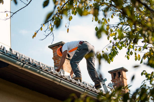 Best Gutter Installation and Roofing  in Fort Recovery, OH