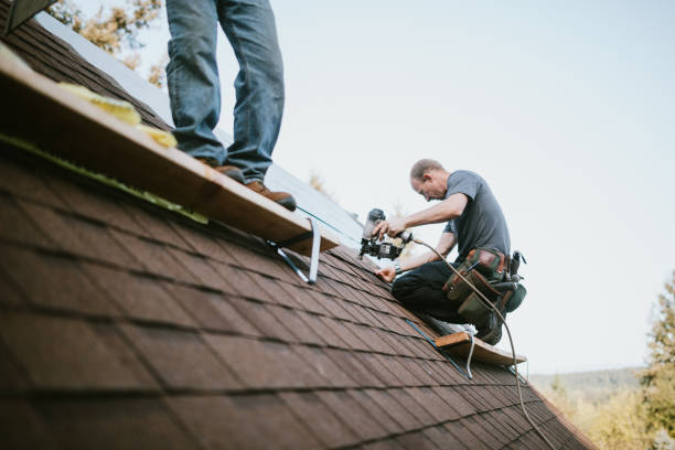 Best Roof Repair Services  in Fort Recovery, OH